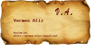 Vermes Aliz névjegykártya